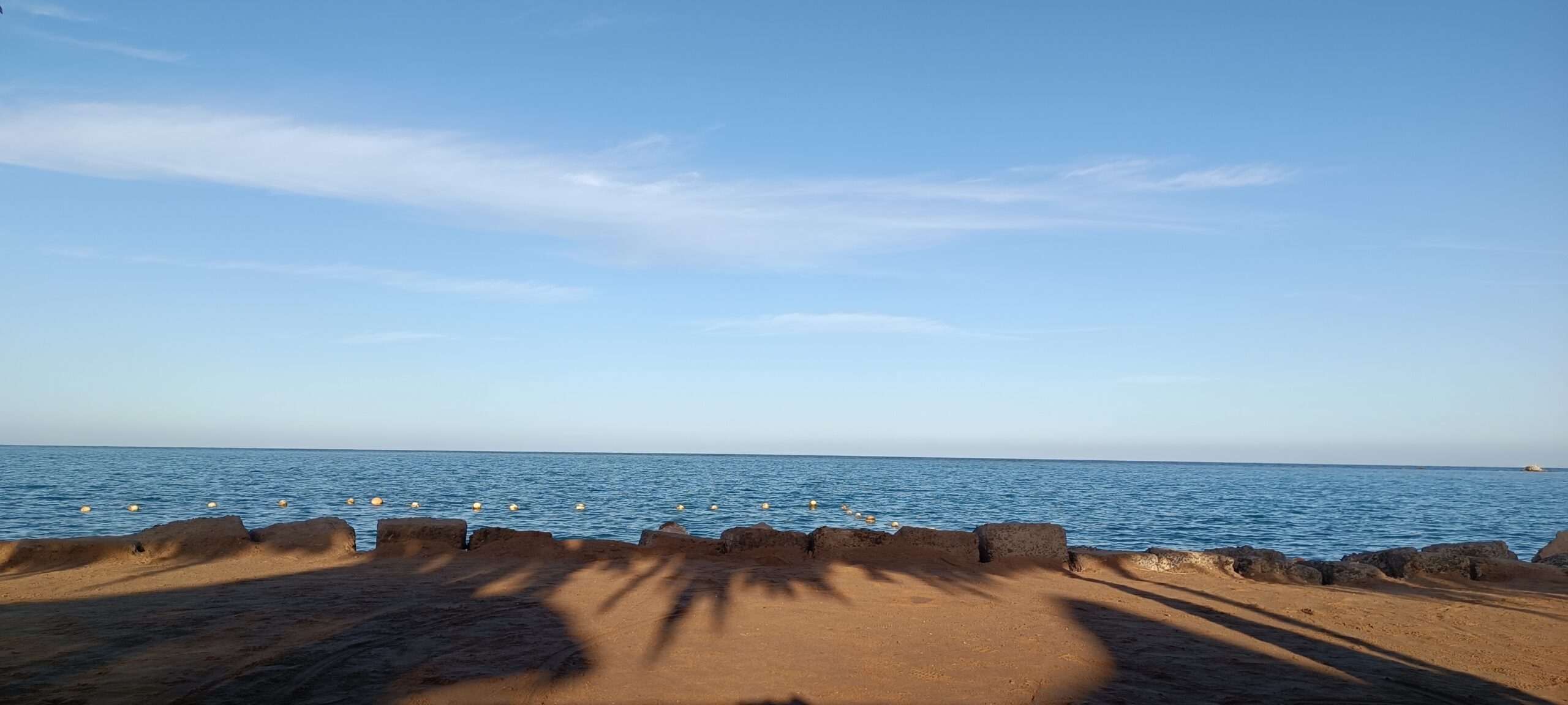 Accueil IMG 20260111 160212 Scaled